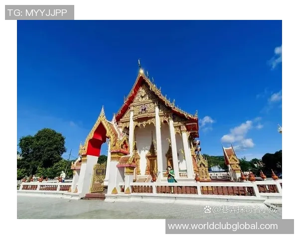 探索甘美WVS高士路的独特魅力与风景，感受城市与自然的完美融合